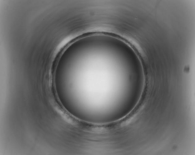 X0000091990982200709061415
