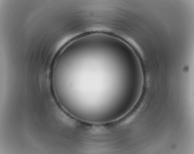 X0000091990983200709061415
