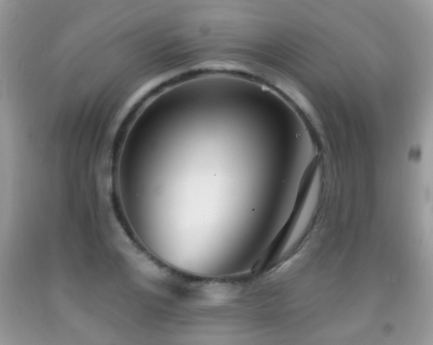 X0000091990984200709061415