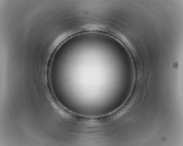 X0000091990986200709061415