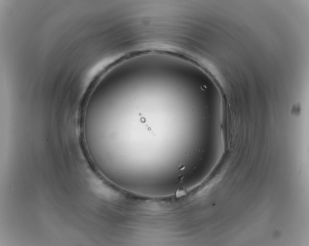 X0000091990987200709061415