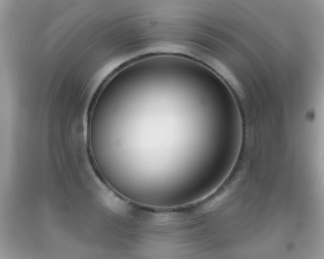 X0000091990988200709061415