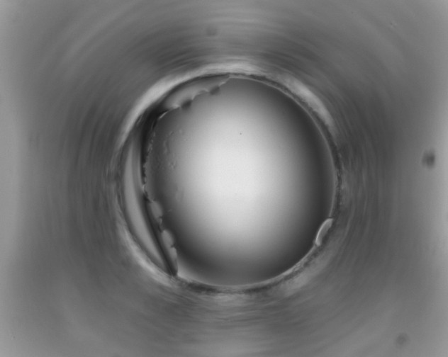 X0000091990989200709061415