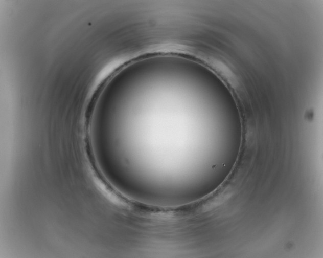 X0000091990990200709061415