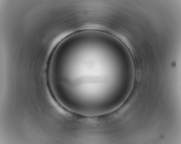 X0000091990995200709061415