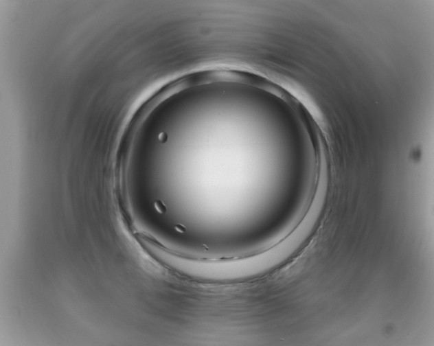 X0000091990996200709061415