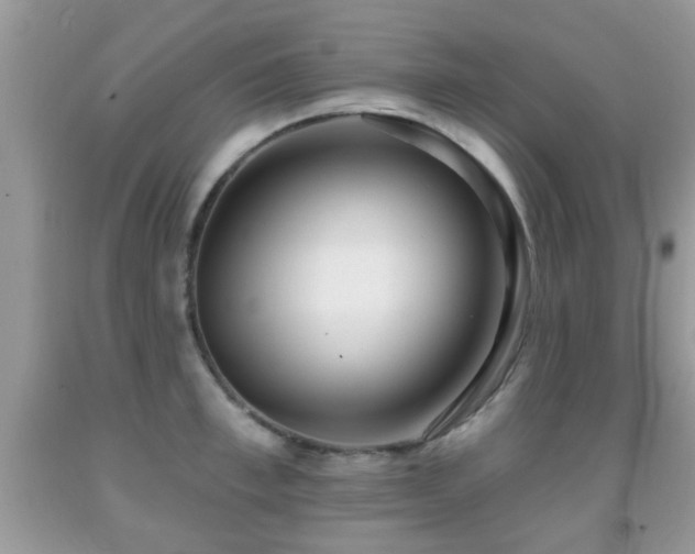 X0000091990997200709061415