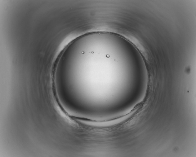 X0000091990998200709061415