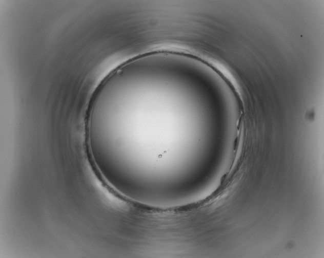 X0000091990999200709061415