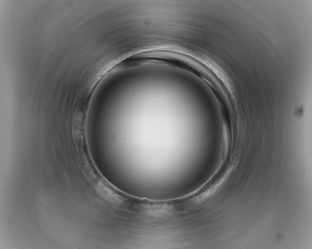 X0000091991001200709061415