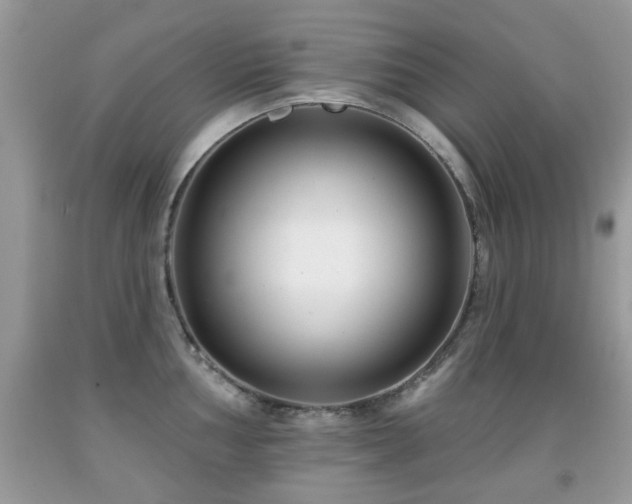 X0000091991002200709061415