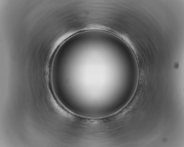 X0000091991003200709061415