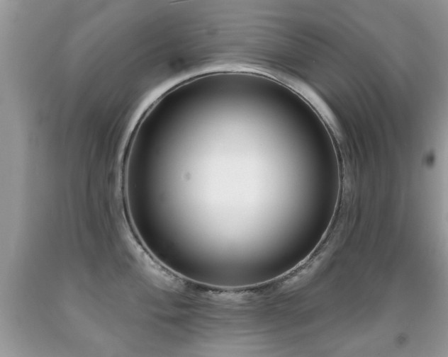 X0000091991004200709061415