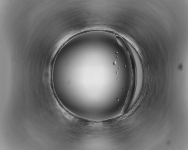 X0000091991006200709061414