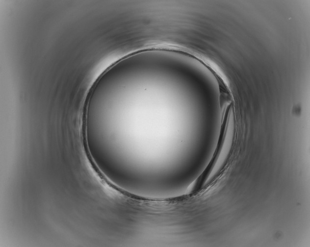 X0000091991007200709061414