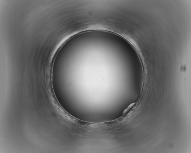 X0000091991008200709061414