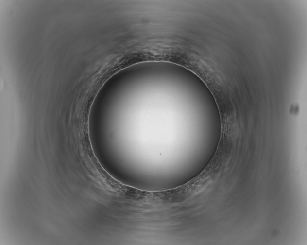 X0000091991009200709061414