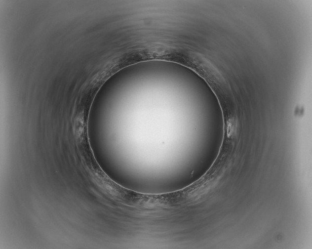 X0000091991011200709061414