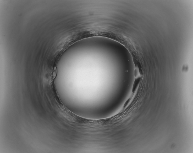X0000091991012200709061414