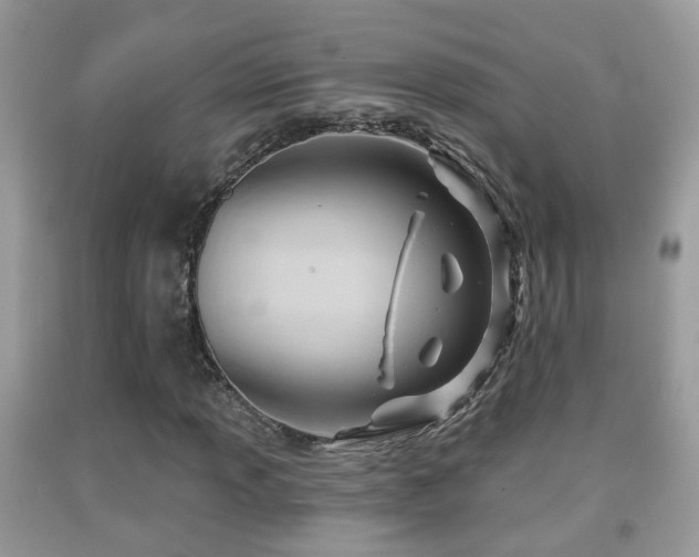 X0000091991013200709061414