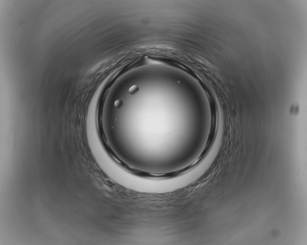 X0000091991014200709061414