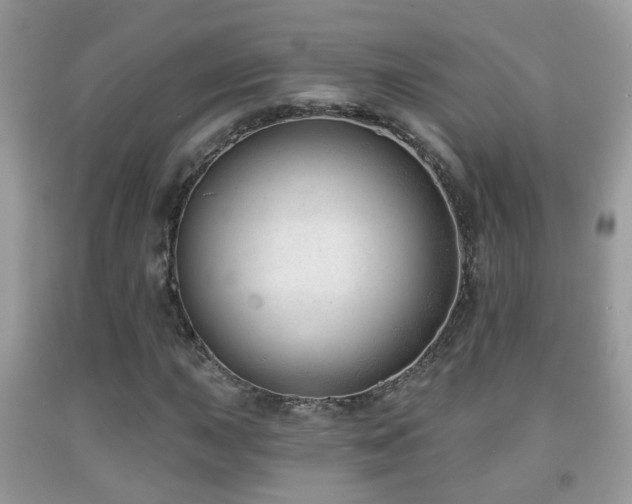 X0000091991015200709061414