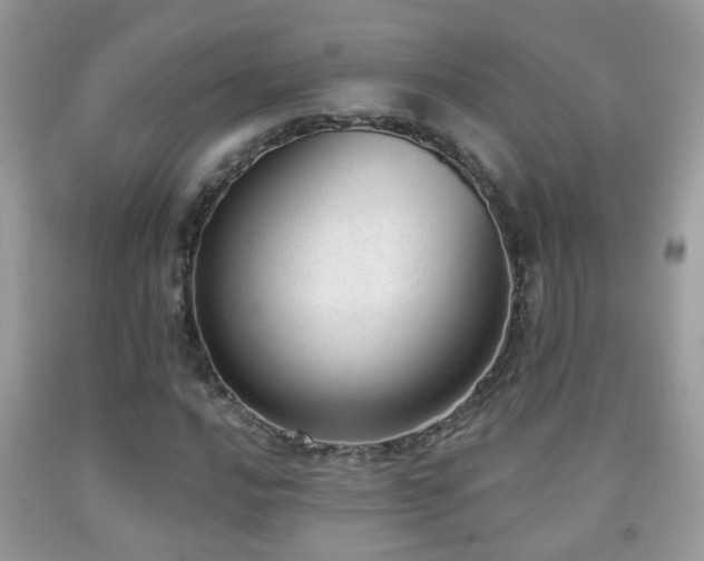 X0000091991016200709061414