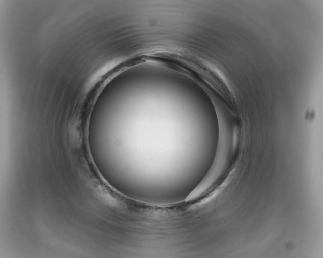 X0000091991018200709061414