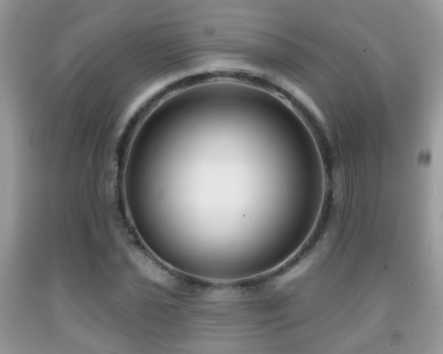X0000091991021200709061414
