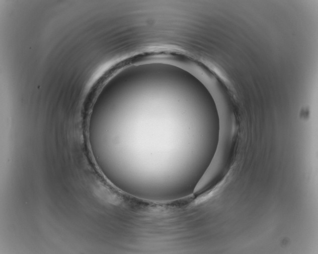 X0000091991022200709061414