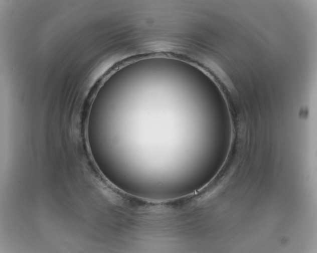 X0000091991023200709061414