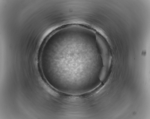 X0000091991024200709061414