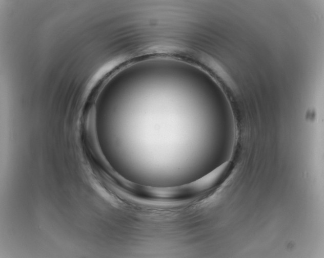 X0000091991026200709061414