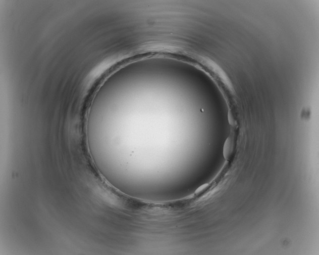 X0000091991027200709061414