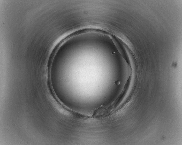 X0000091991028200709061414