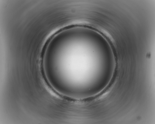 X0000091991029200709061414