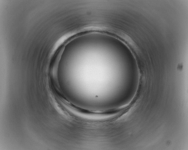 X0000091991030200709061414