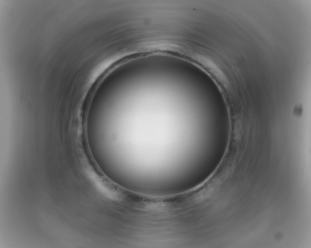 X0000091991031200709061414