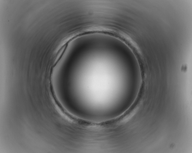 X0000091991033200709061414