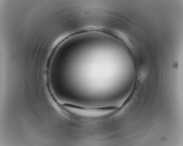 X0000091991034200709061414