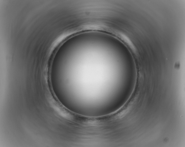 X0000091991035200709061414