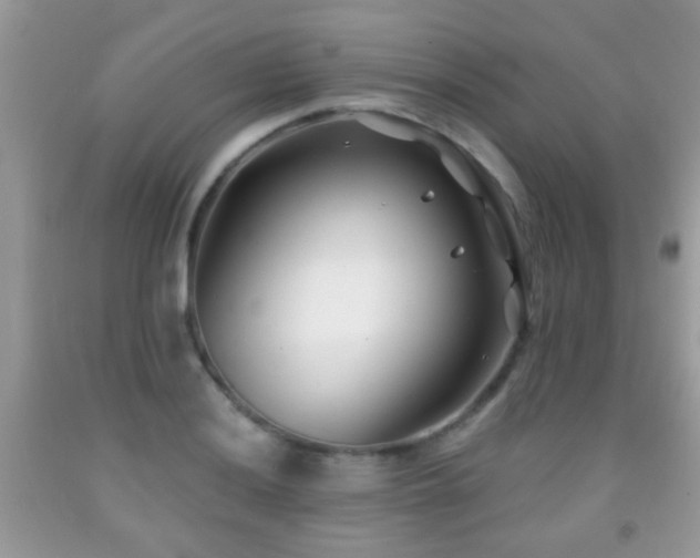 X0000091991036200709061414