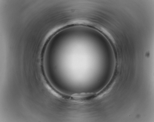 X0000091991037200709061414