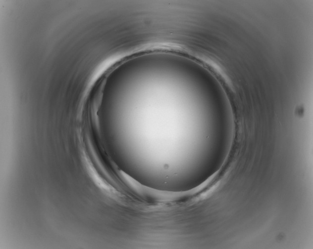 X0000091991038200709061414