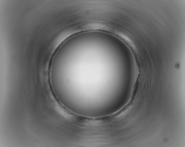X0000091991039200709061414