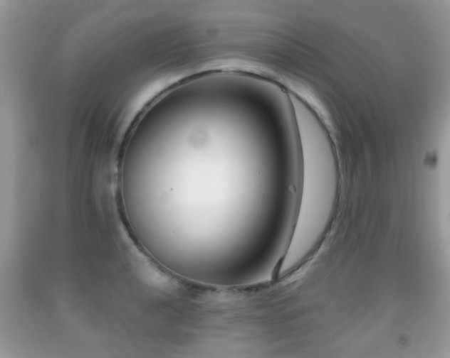 X0000091991040200709061414