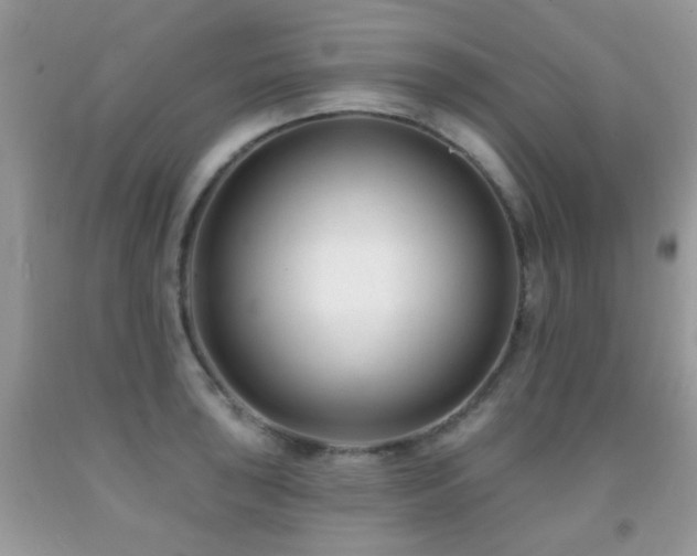 X0000091991043200709061414
