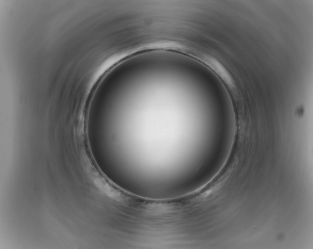 X0000091991044200709061414
