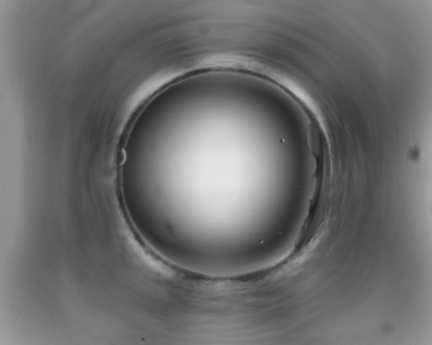 X0000091991045200709061414