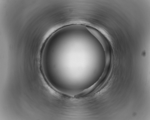 X0000091991046200709061414